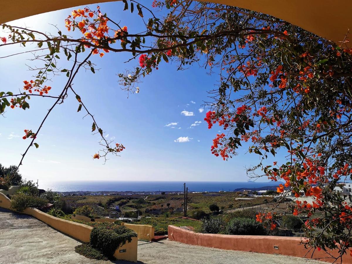 Vineyards Hill Villa Megalochori  Exterior photo